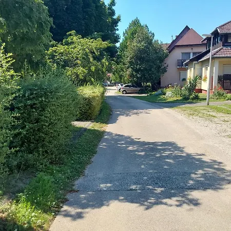Tuerkiz - 5 Szobas 13 Fos Apartmanhaz 4km A Balaton- Balatonszabadi