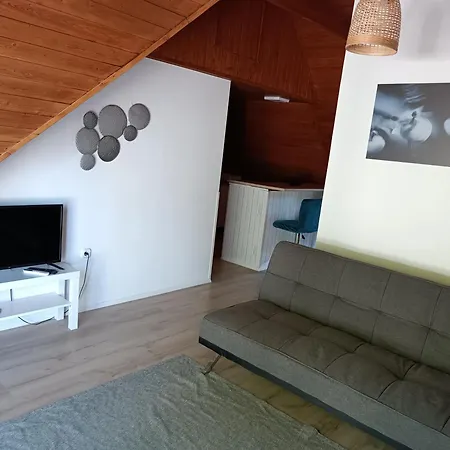 Tuerkiz - 5 Szobas 13 Fos Apartmanhaz 4km A Balaton- * Balatonszabadi Fürdőtelep